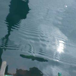 カヤックジギング